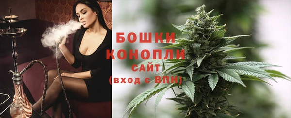 ГАЛЛЮЦИНОГЕННЫЕ ГРИБЫ Балабаново