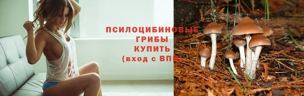 стаф Белоозёрский
