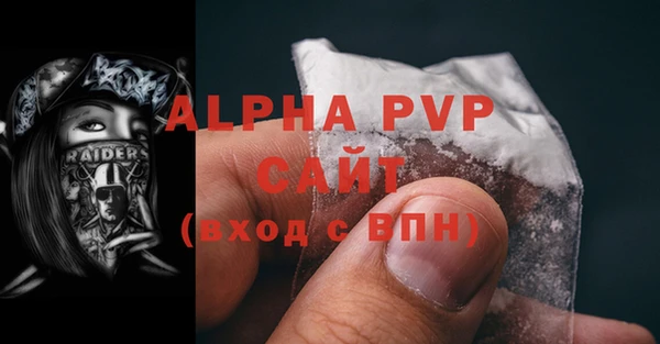 стаф Беломорск