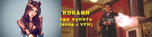 стаф Беломорск