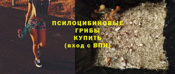 стаф Беломорск