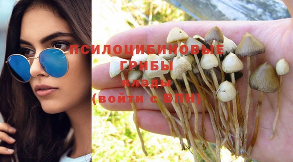 прущая мука Баксан