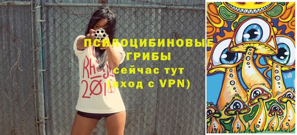 ГАЛЛЮЦИНОГЕННЫЕ ГРИБЫ Балабаново