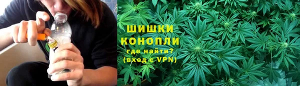 ГАЛЛЮЦИНОГЕННЫЕ ГРИБЫ Балабаново