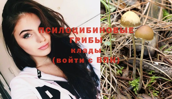 стаф Беломорск