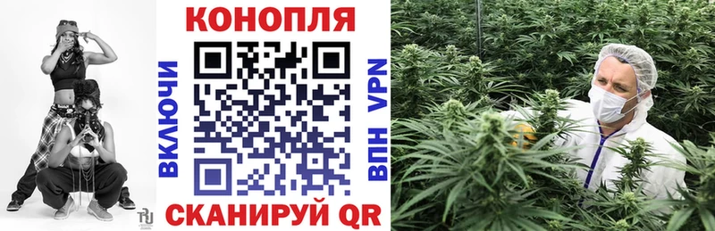 Канабис MAZAR  Купить  Фокино 
